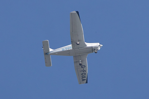 G-FOXA